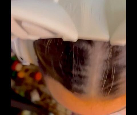 Observing Lala – Gamer Girl BJ