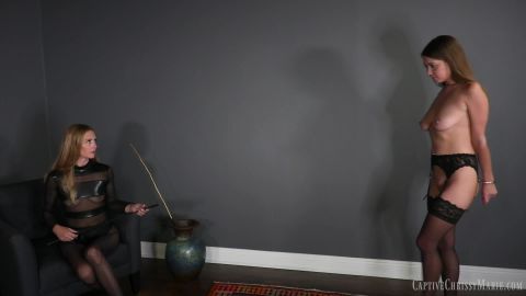 Pantyhose, Stockings, Nylons 8065