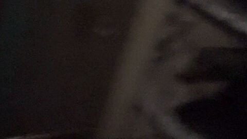 Day 12 – Pet Play Fetish Basement