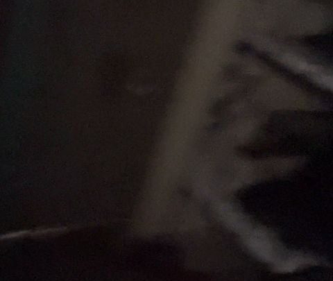 Day 12 – Pet Play Fetish Basement