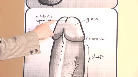 Expert Guide to Fellatio: Part 1