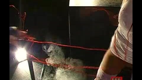 Betty Herrscherin Der Safte