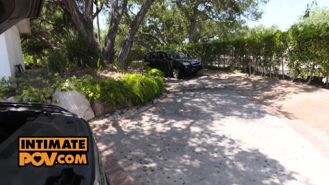 A Perfect Morning With Riley