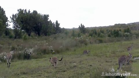 Sexy Nudists on the Beach, Hidden Cam