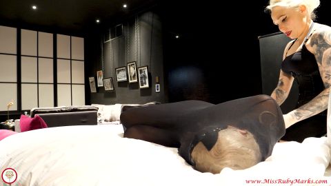 How Aaron Rodgers’ bargain contract was game-changer for Steelers GM Omar Khan