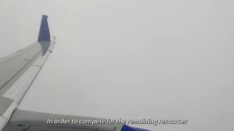 Ming Visual World – Battle of the Two Cities