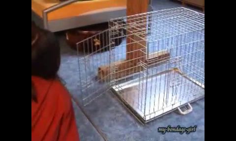 My Bondage Girl Anja